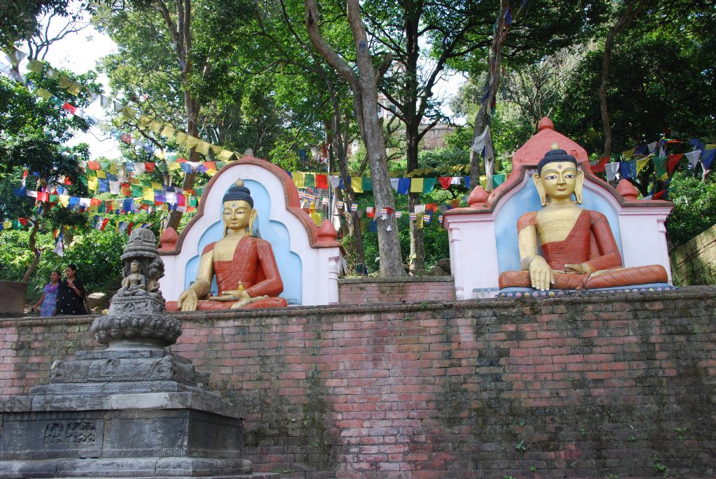 Kathmandu valley sightseeing tour (1)