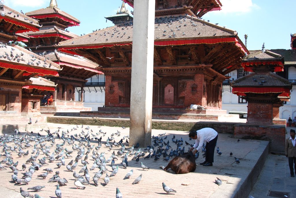 Kathmandu valley sightseeing tour (22)