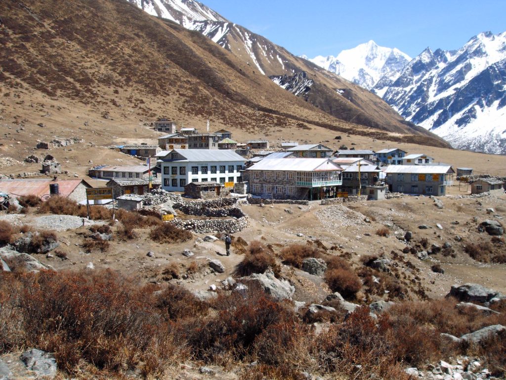 Langtang valley trek (7)