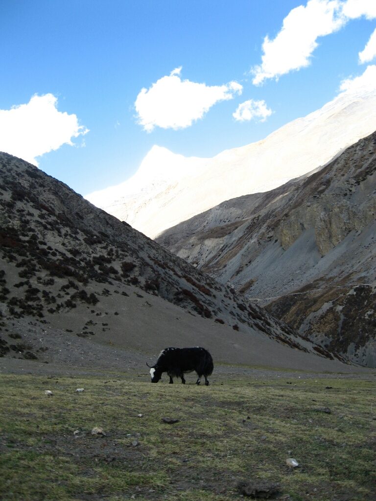 Mera peak (12)