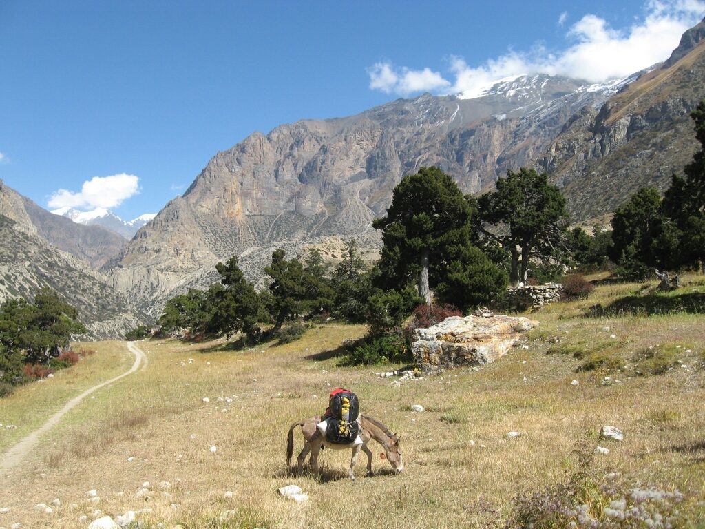 Mera peak (5)