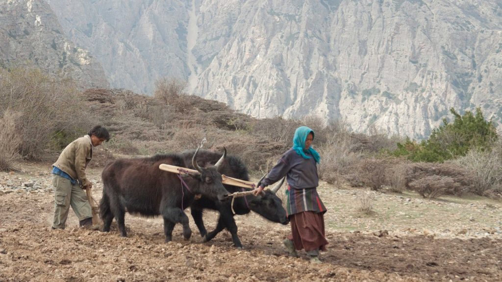 Beni dolpo trek 1