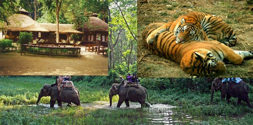 Chitwan tour 1