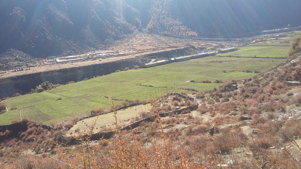 Manaslu trek combined tsum valley trek 9