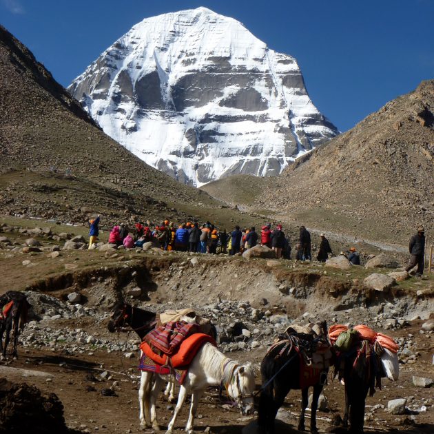 Mount kailash manasarovar tour 5