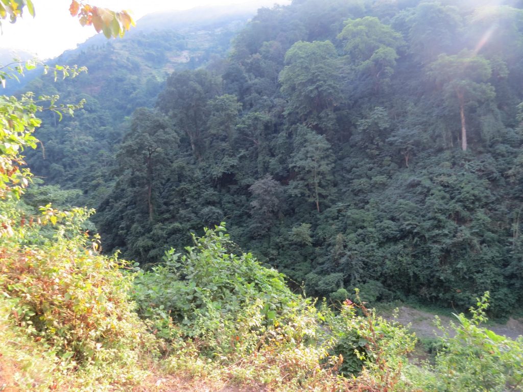 Upper dhangadi trek 3