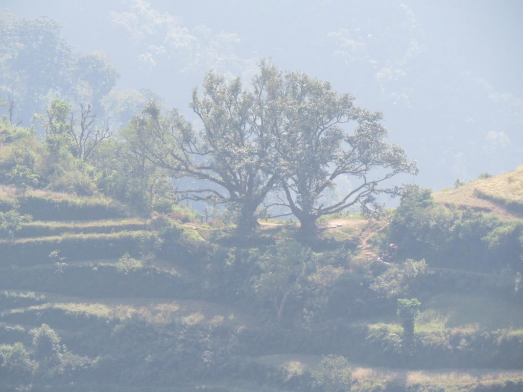 Upper dhangadi trek 5