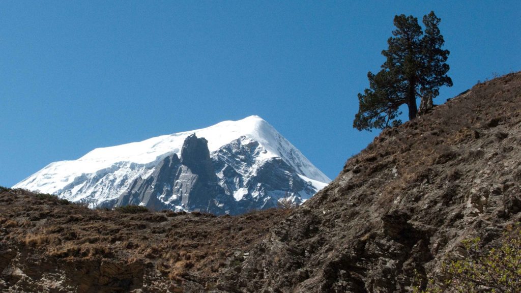 Upper dolpa trek 13