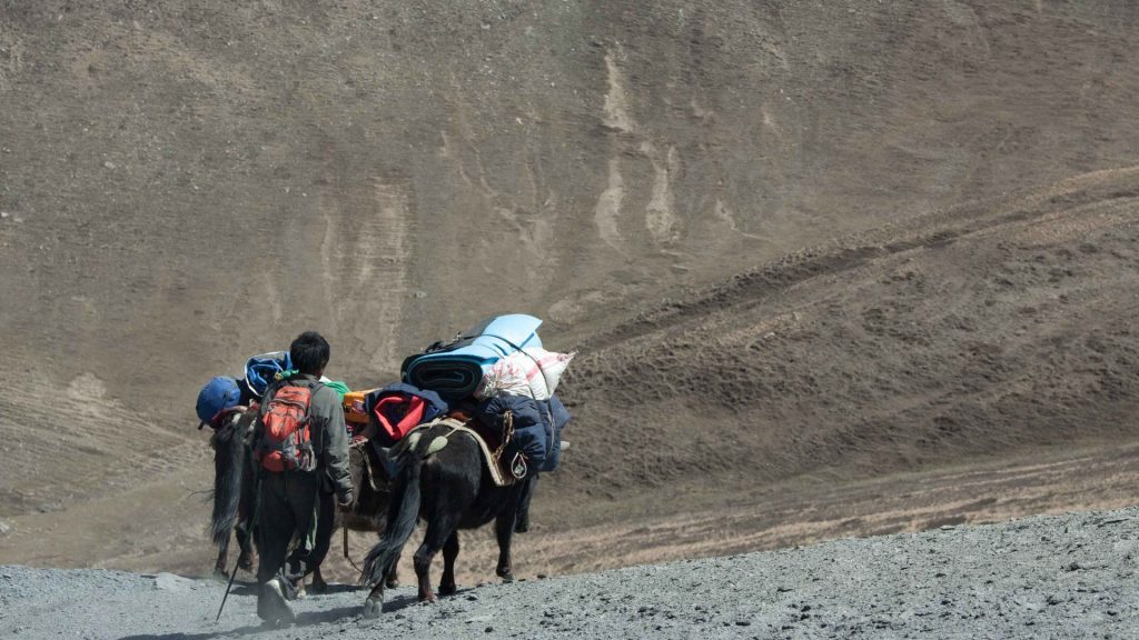 Upper dolpa trek 26