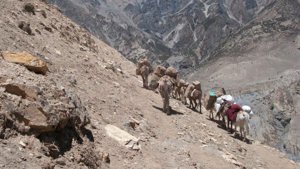 Upper dolpa trek 27