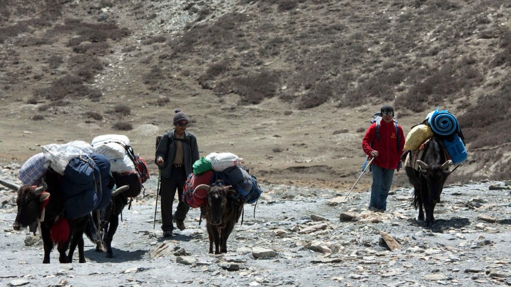 Upper dolpo extensive trek 18