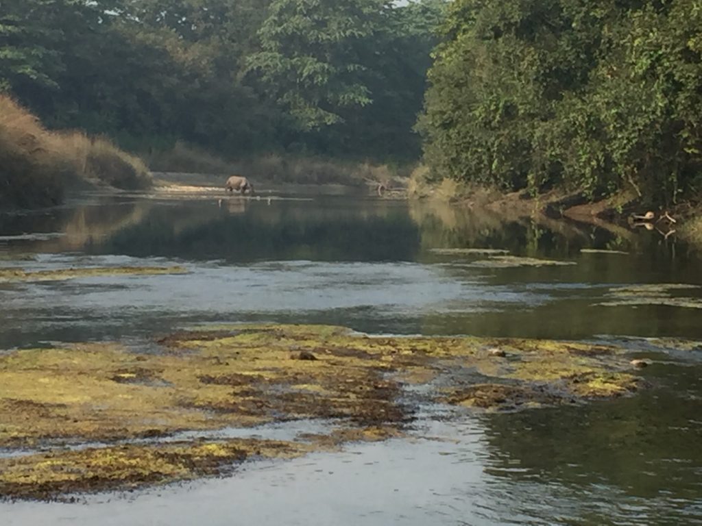 Bardia national park tour (21)