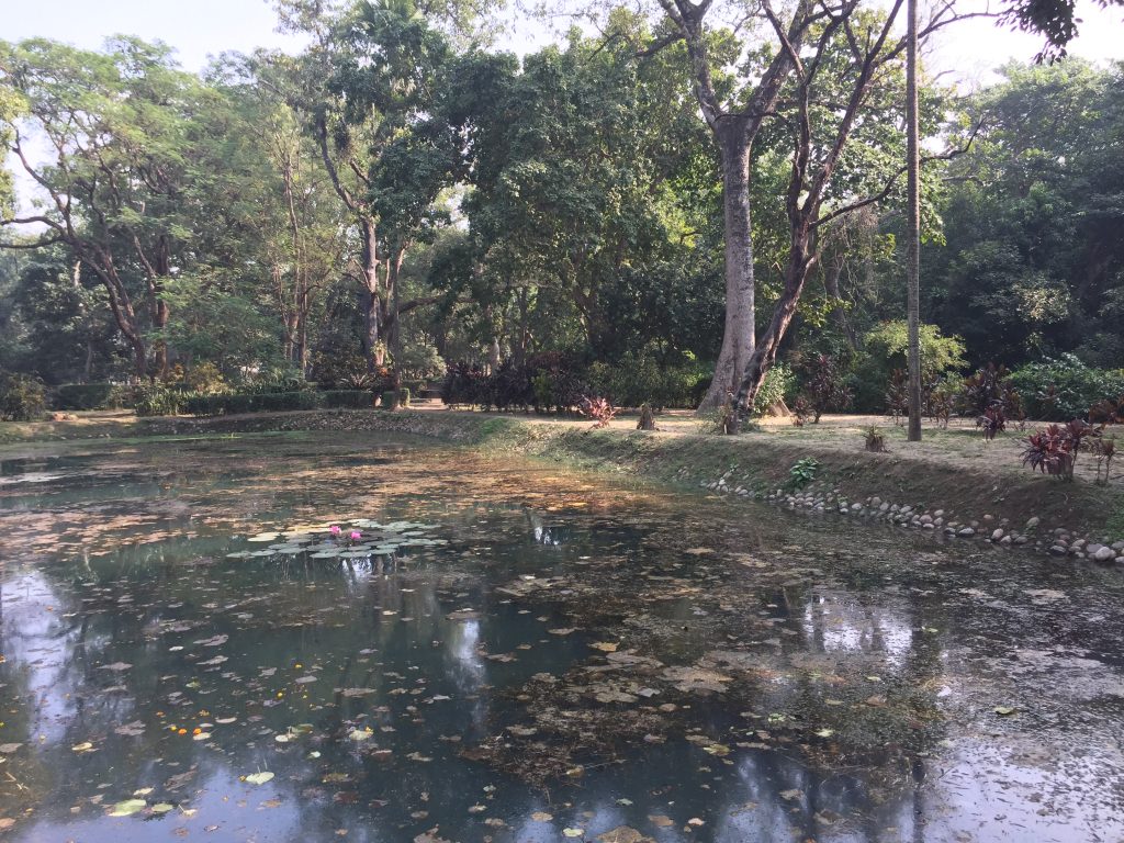 Bardia national park tour (44)