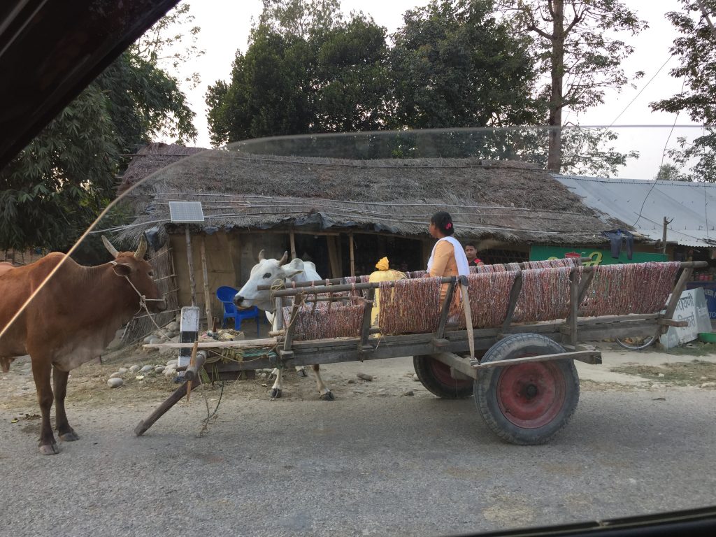 Bardia national park tour (46)