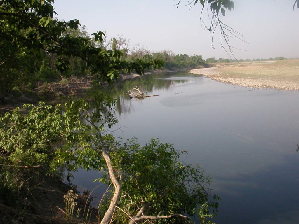 Bardiya national park (58)