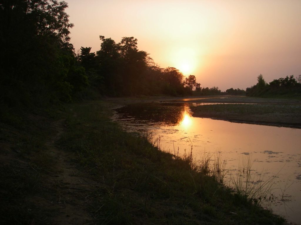 Bardiya national park (8)