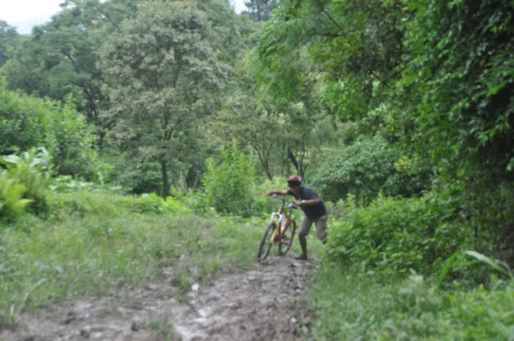 Mountain biking (27)