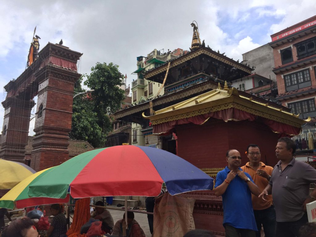 Gai jatra festival tour (26)