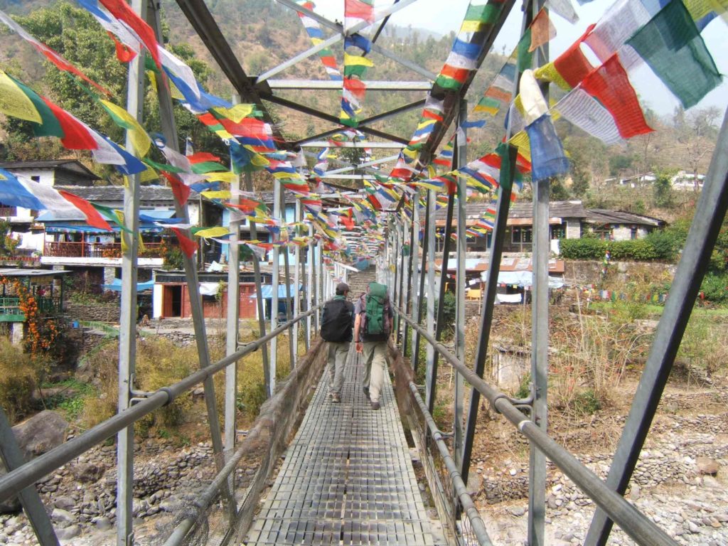 Rhododendron trek annapurna region (2)