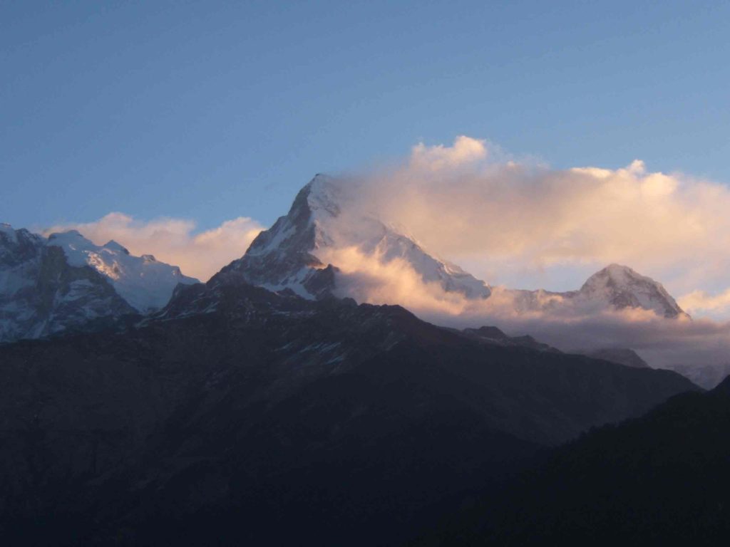 Rhododendron trek annapurna region (5)