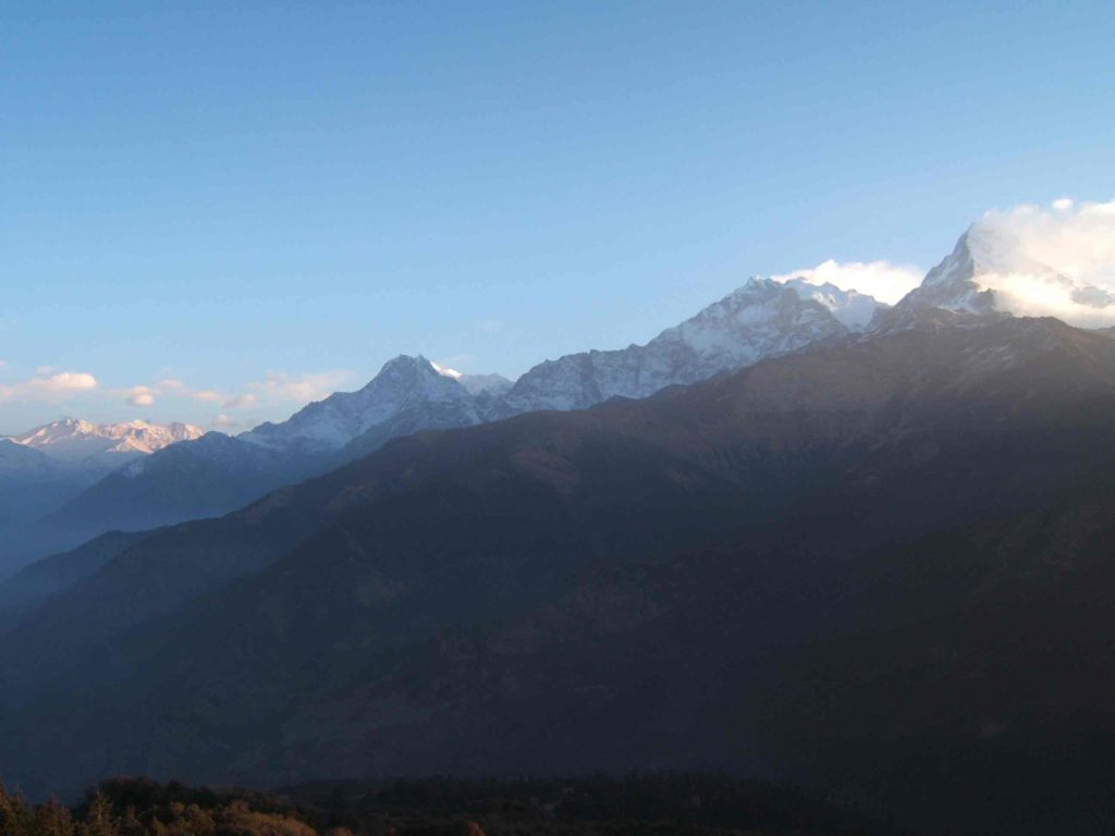 Rhododendron trek annapurna region (6)