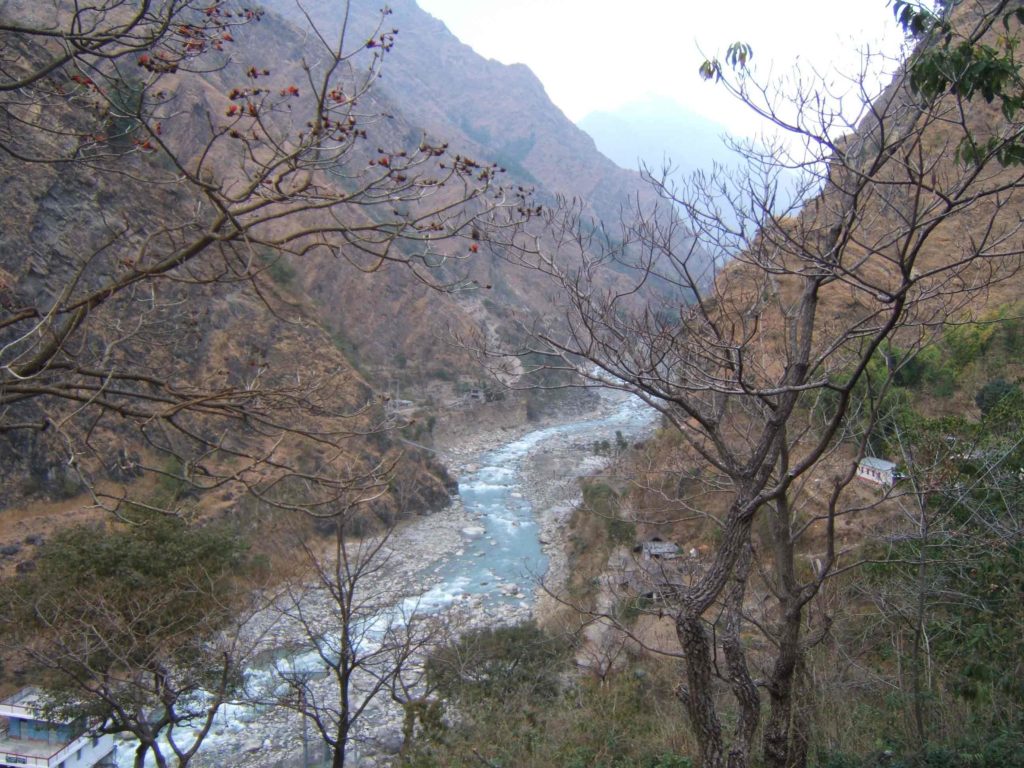 Rhododendron trek annapurna region (7)