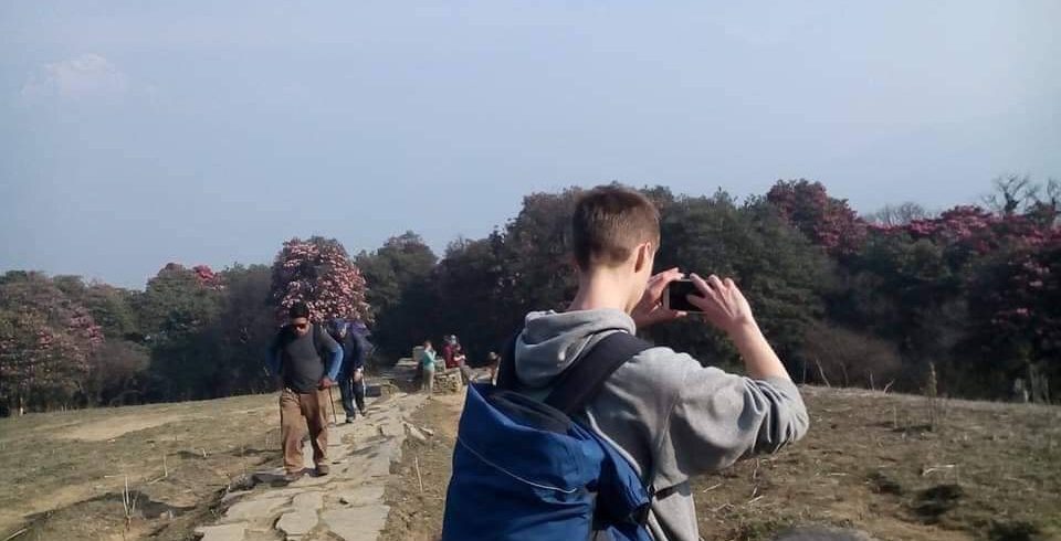 Rhododendron trek annapurna region (8)