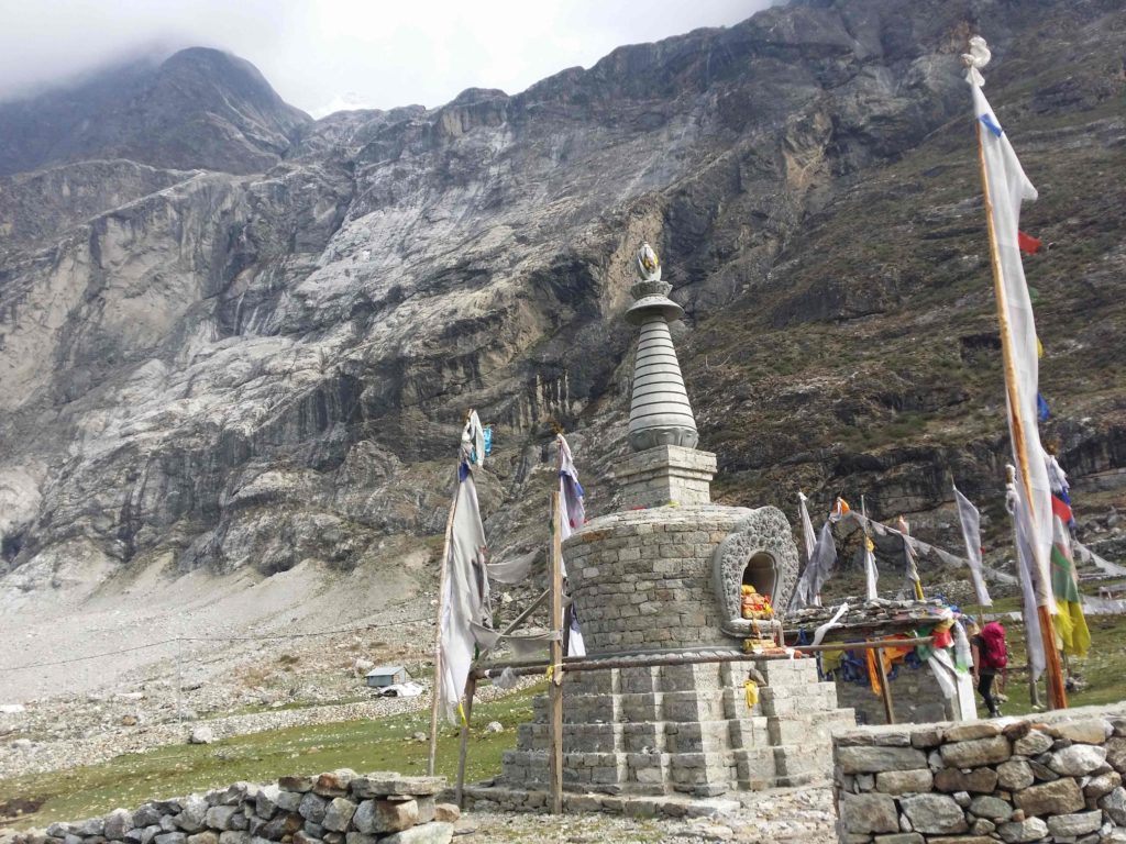 Rhododendron trek langtang region (2)