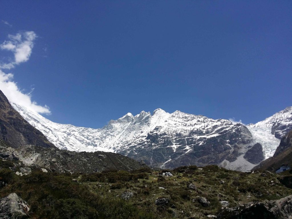 Rhododendron trek langtang region (4)