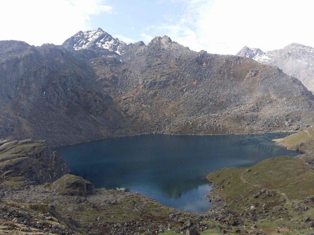 Rhododendron trek langtang region (6)