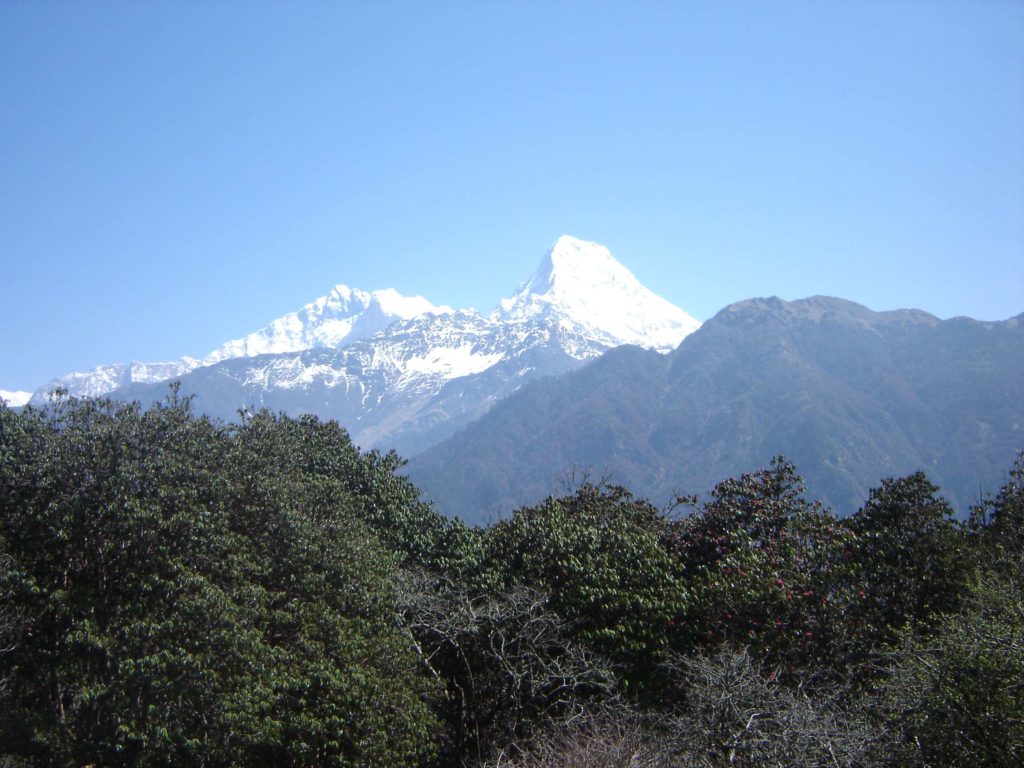 Ghorepani poon hill ghandruk trek (13)