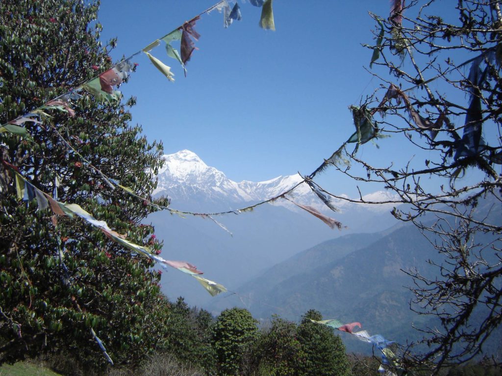 Ghorepani poon hill ghandruk trek (15)