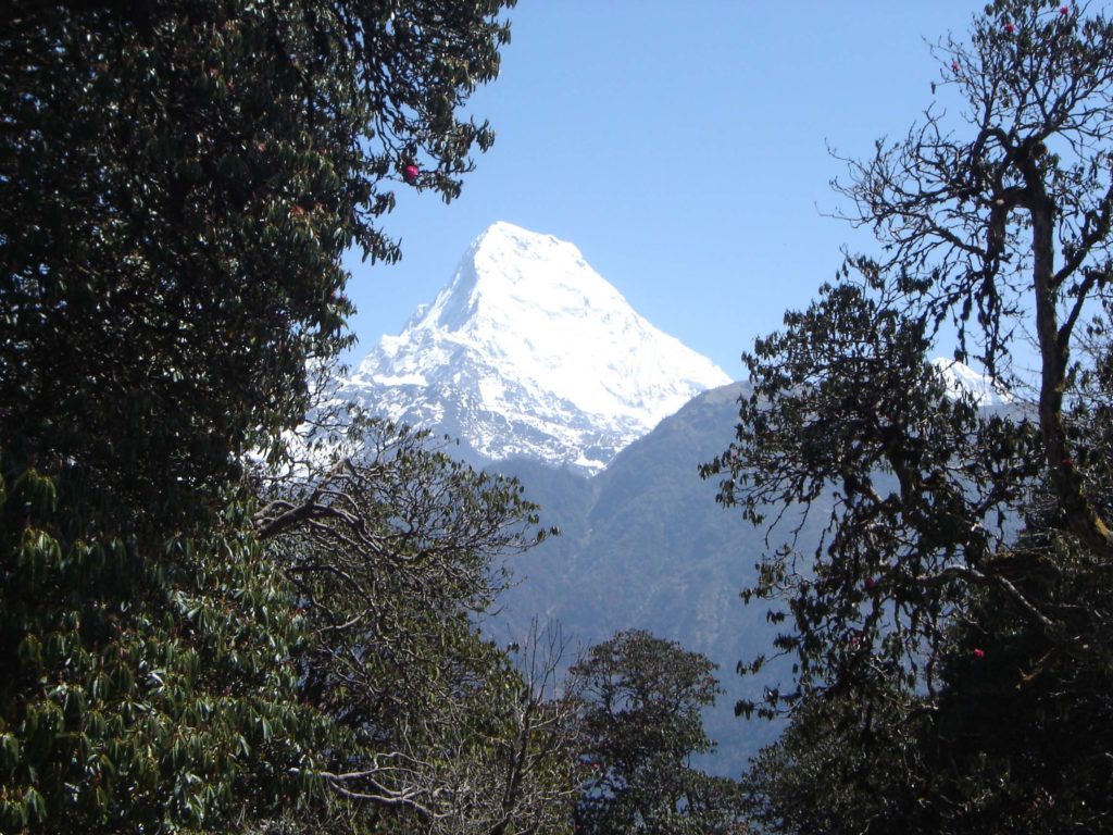 Ghorepani poon hill ghandruk trek (17)