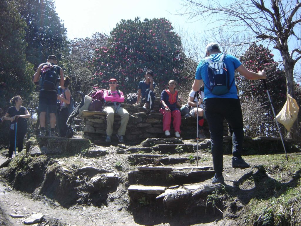 Ghorepani poon hill ghandruk trek (18)