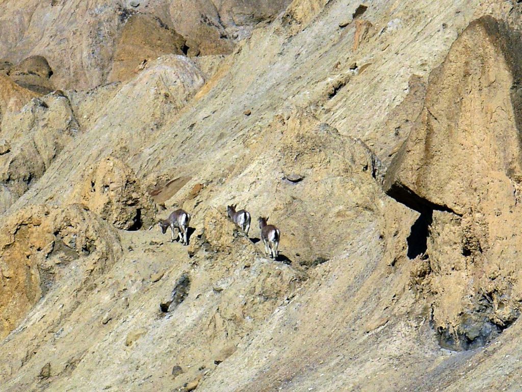 Upper mustang trek in helicopter fly out (23)