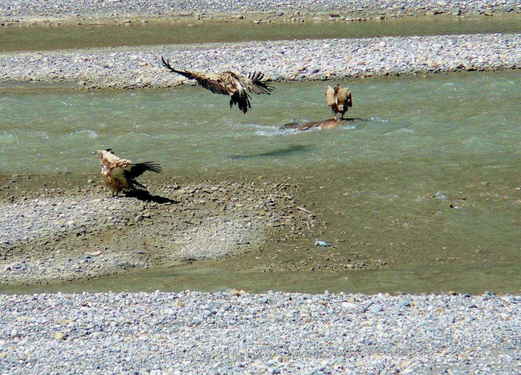 Upper mustang trek in helicopter fly out (3)