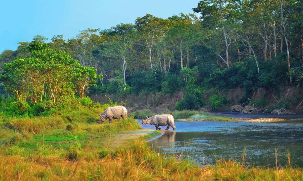 Chitwan National Park 2